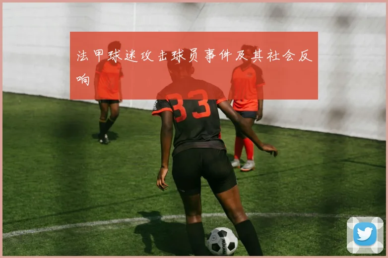 法甲球迷攻击球员事件及其社会反响