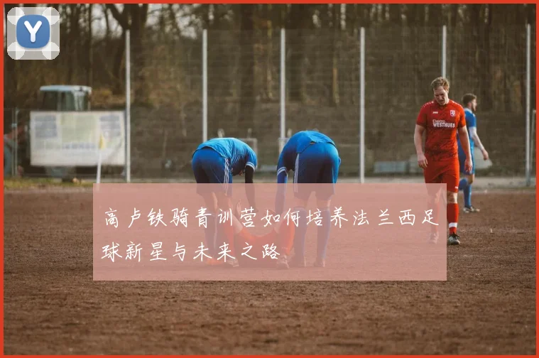 高卢铁骑青训营如何培养法兰西足球新星与未来之路